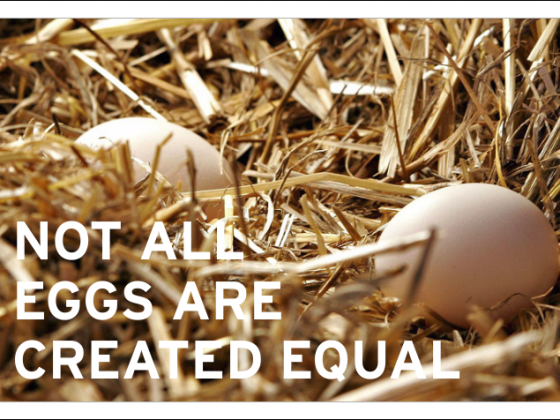 not all eggs are created equal