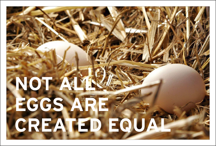 not all eggs are created equal