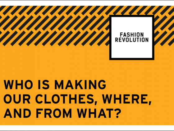 fashion revolution